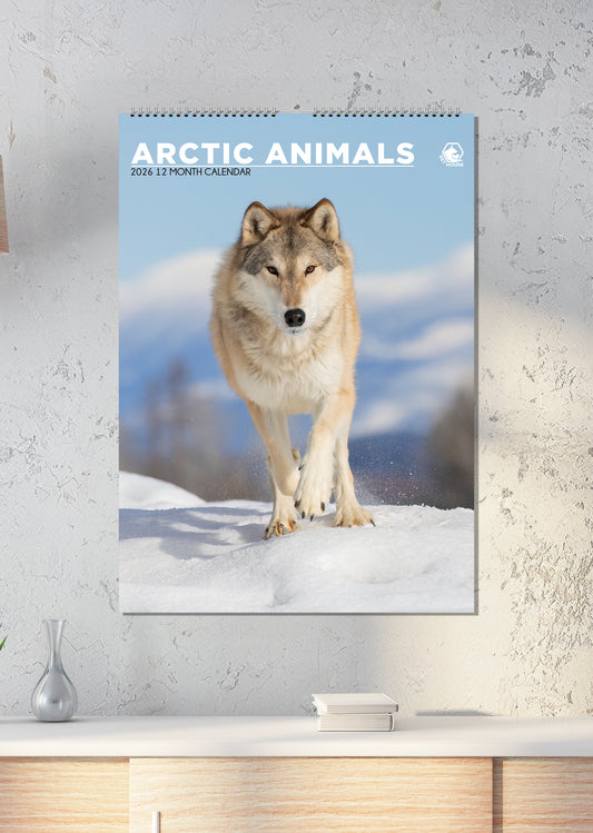 Arctic Animals - A3 Calendar 2026