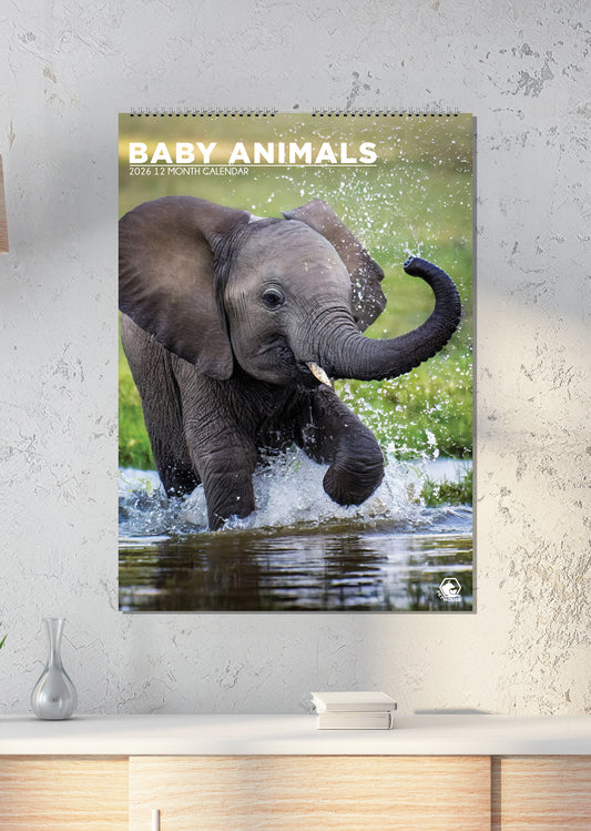 Baby Animals - A3 Calendar 2026
