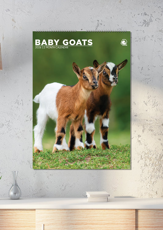 Baby Goats - A3 Calendar 2026