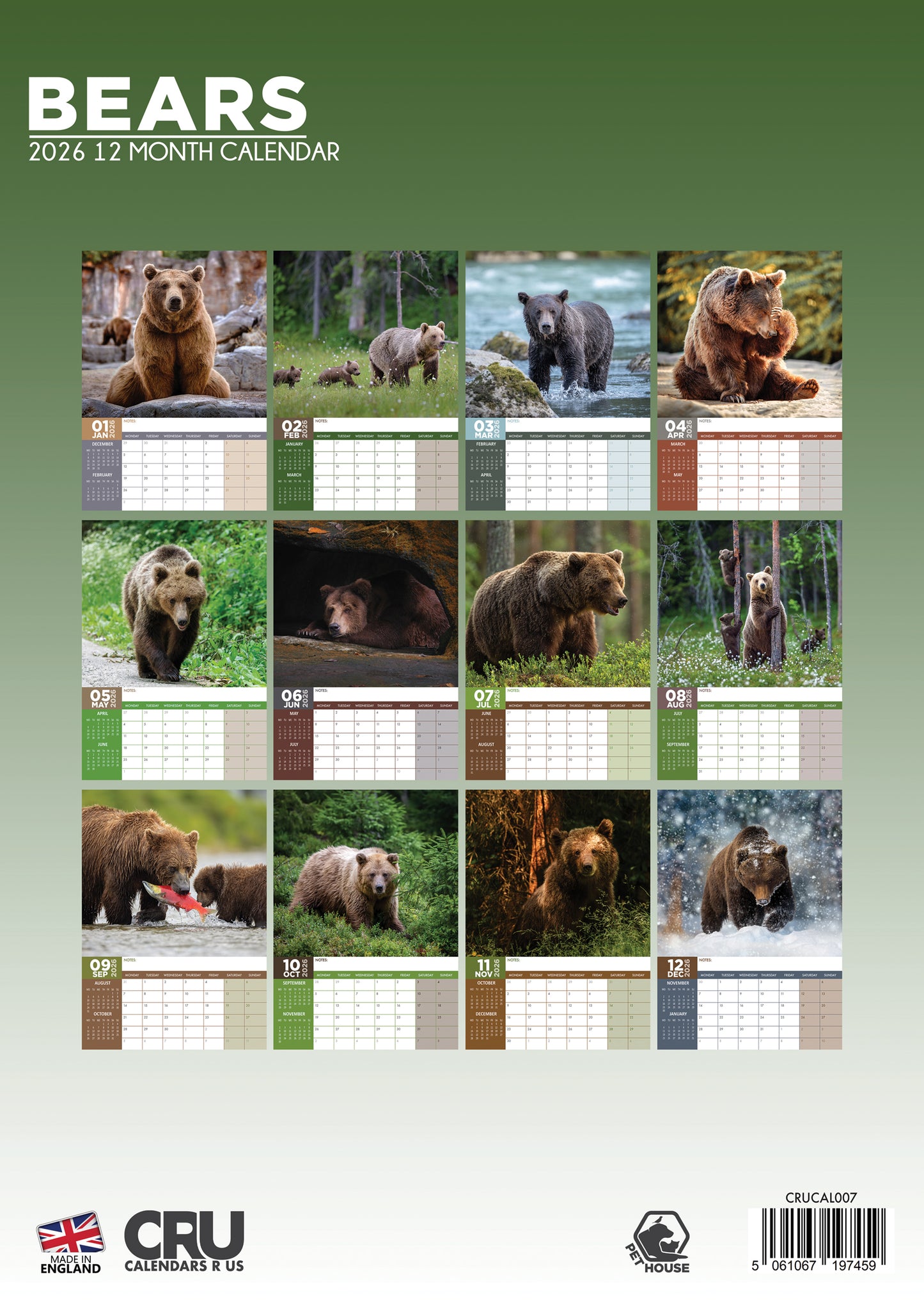 Bears - A3 Calendar 2026
