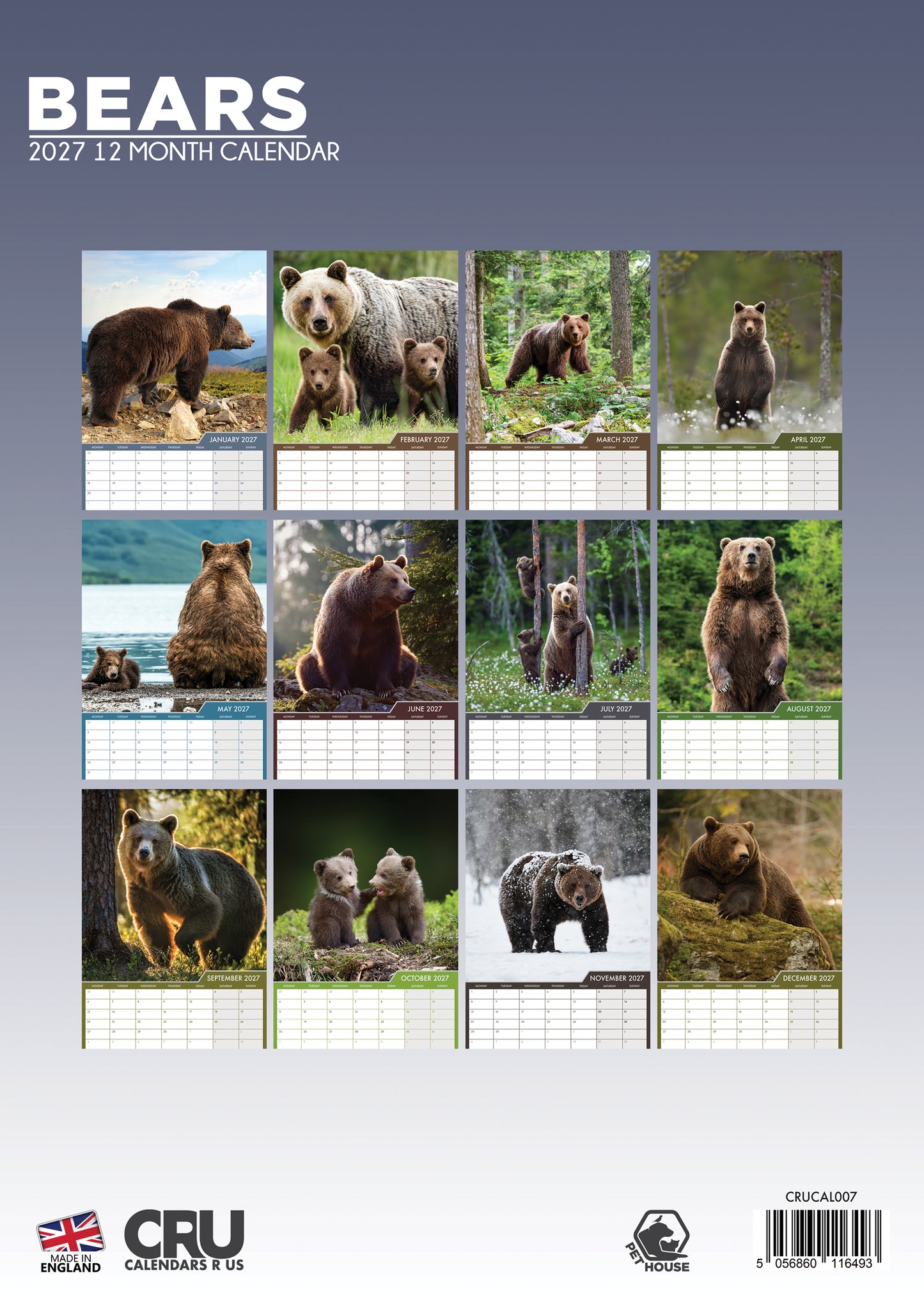 Bears - A3 Calendar 2027