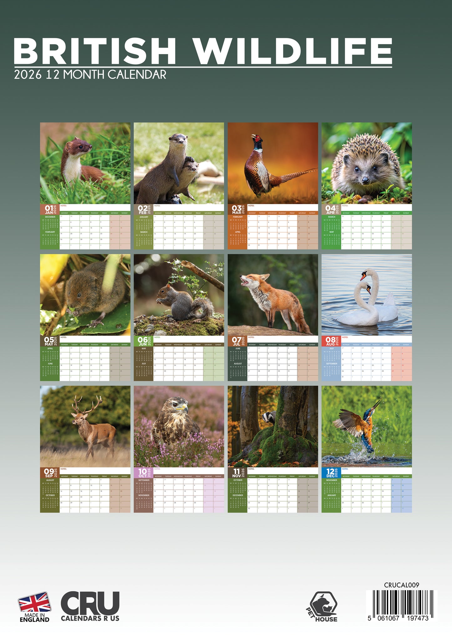British Wildlife - A3 Calendar 2026