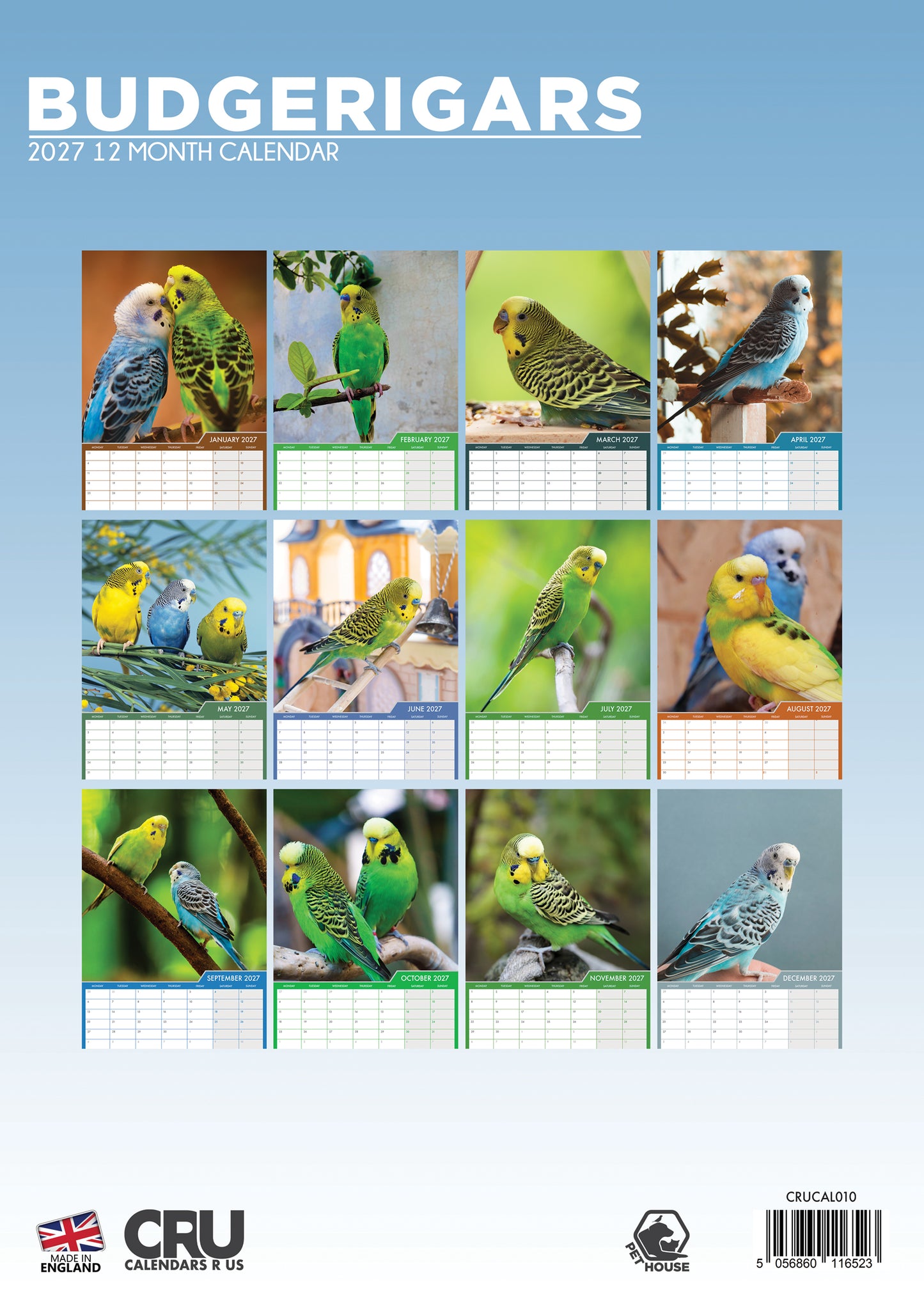 Budgerigars - A3 Calendar 2027