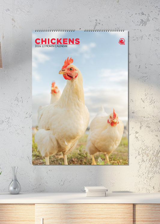 Chickens - A3 Calendar 2026