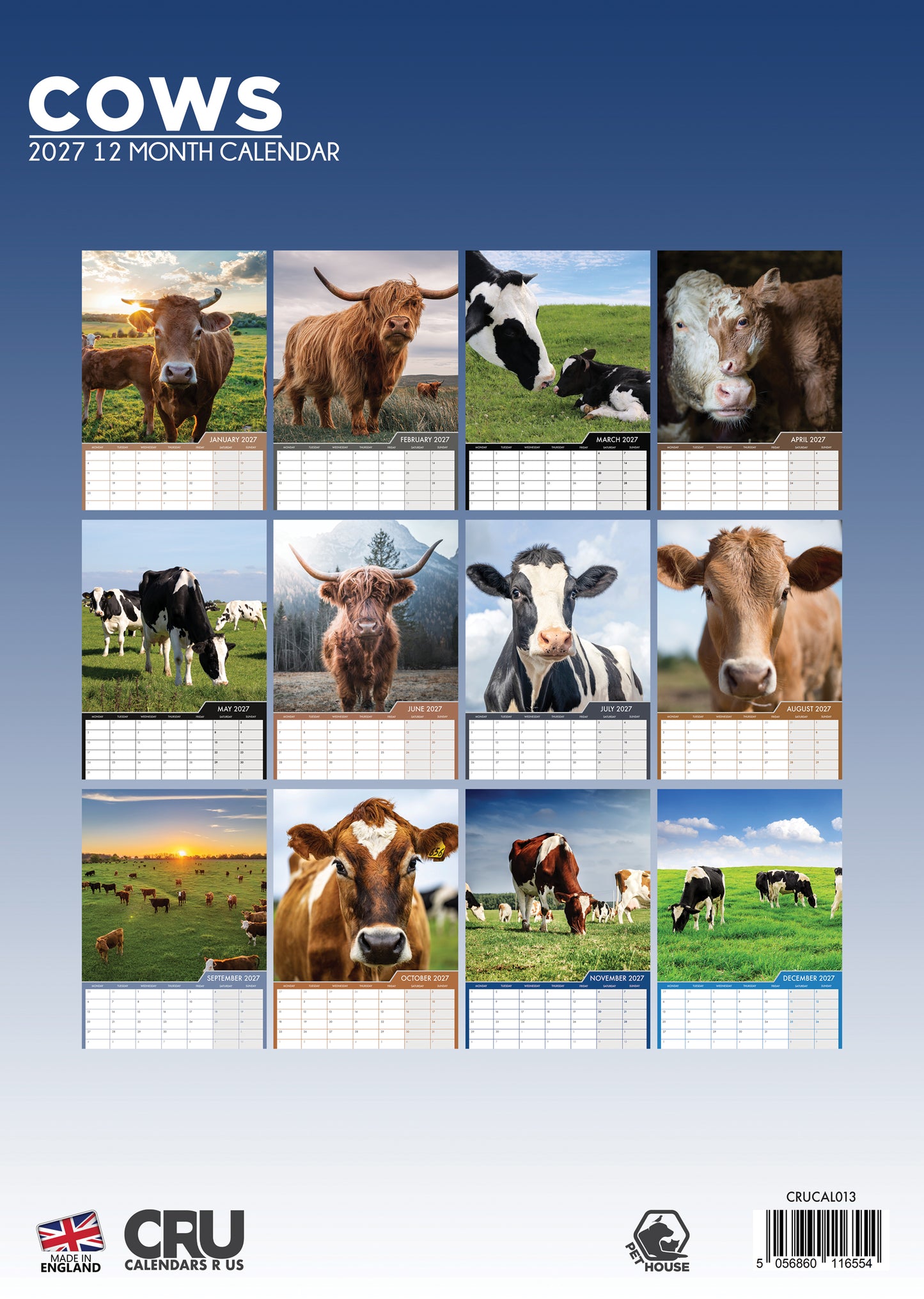 Cows - A3 Calendar 2027