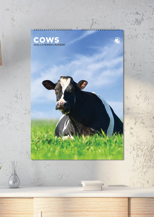 Cows - A3 Calendar 2026