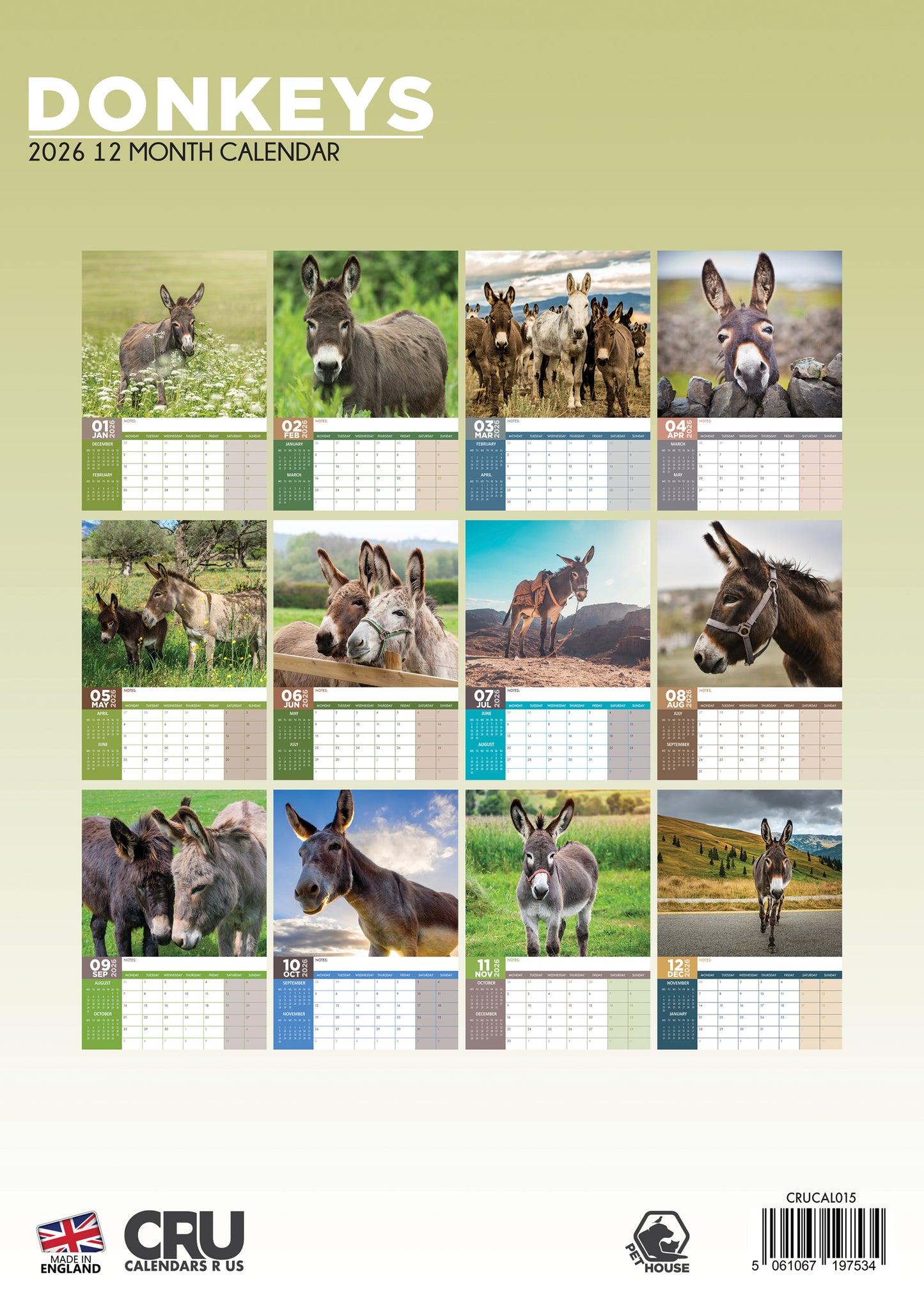 Donkeys - A3 Calendar 2026