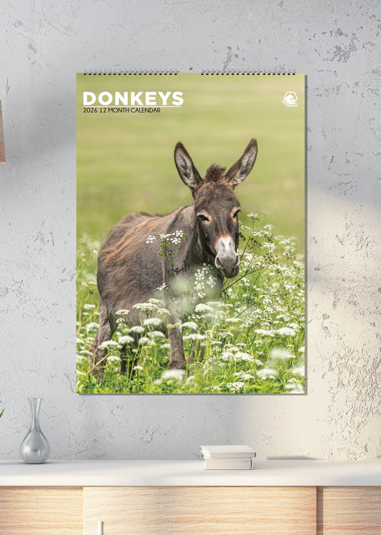 Donkeys - A3 Calendar 2026