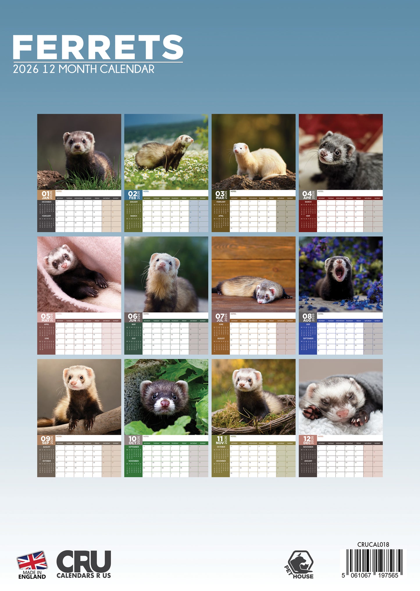 Ferrets - A3 Calendar 2026