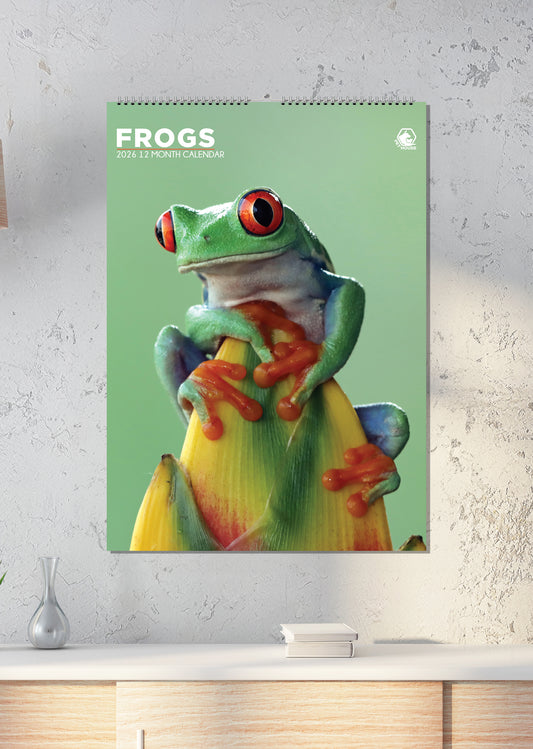 Frogs - A3 Calendar 2026