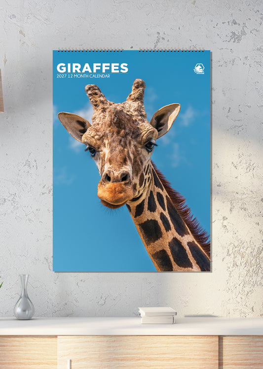 Giraffes - A3 Calendar 2027