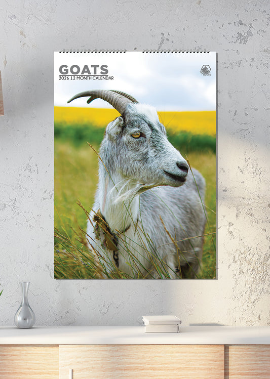 Goats - A3 Calendar 2026