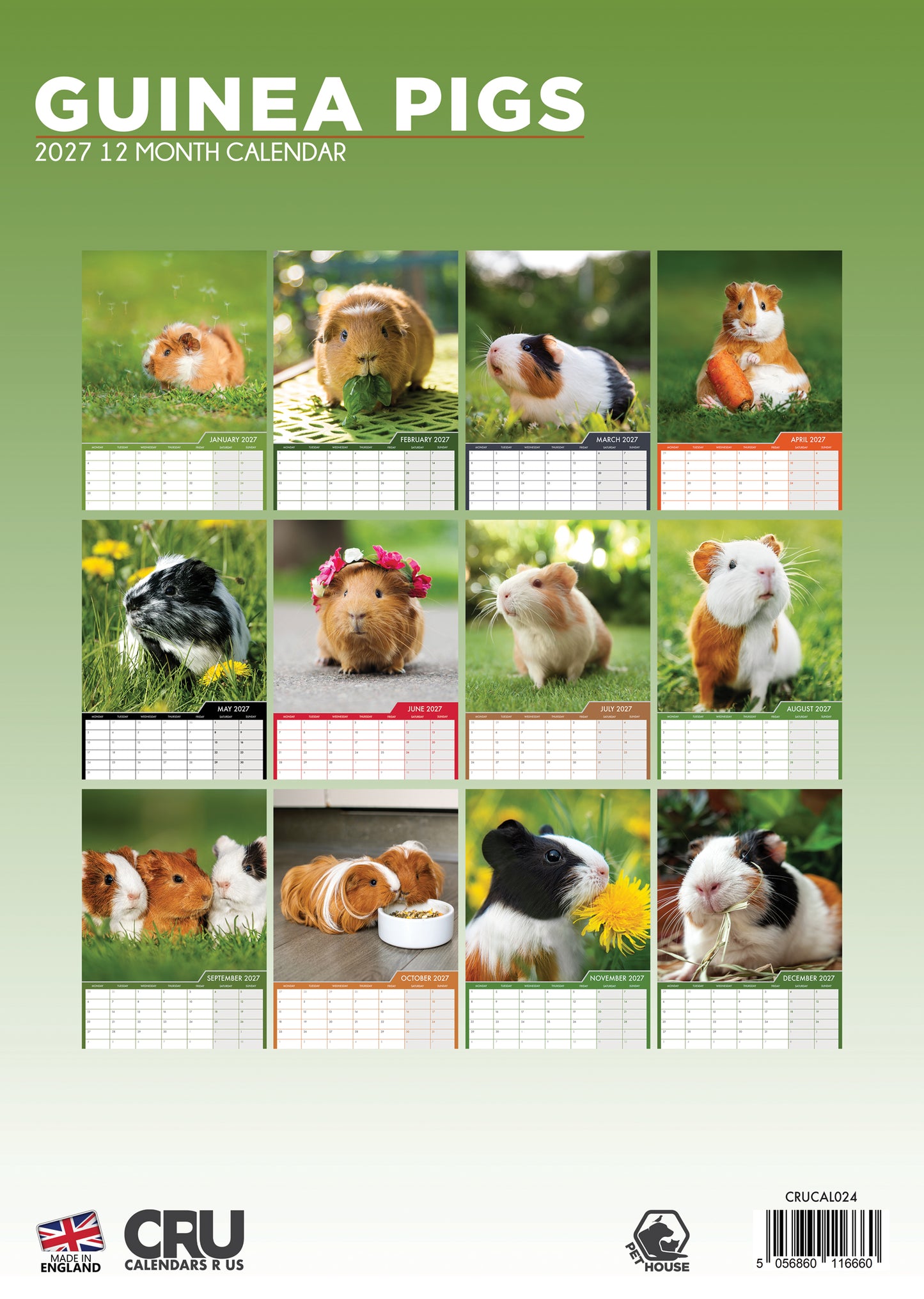 Guinea Pigs - A3 Calendar 2027