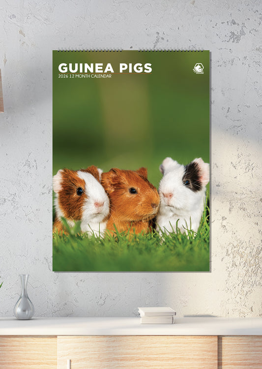 Guinea Pigs - A3 Calendar 2026