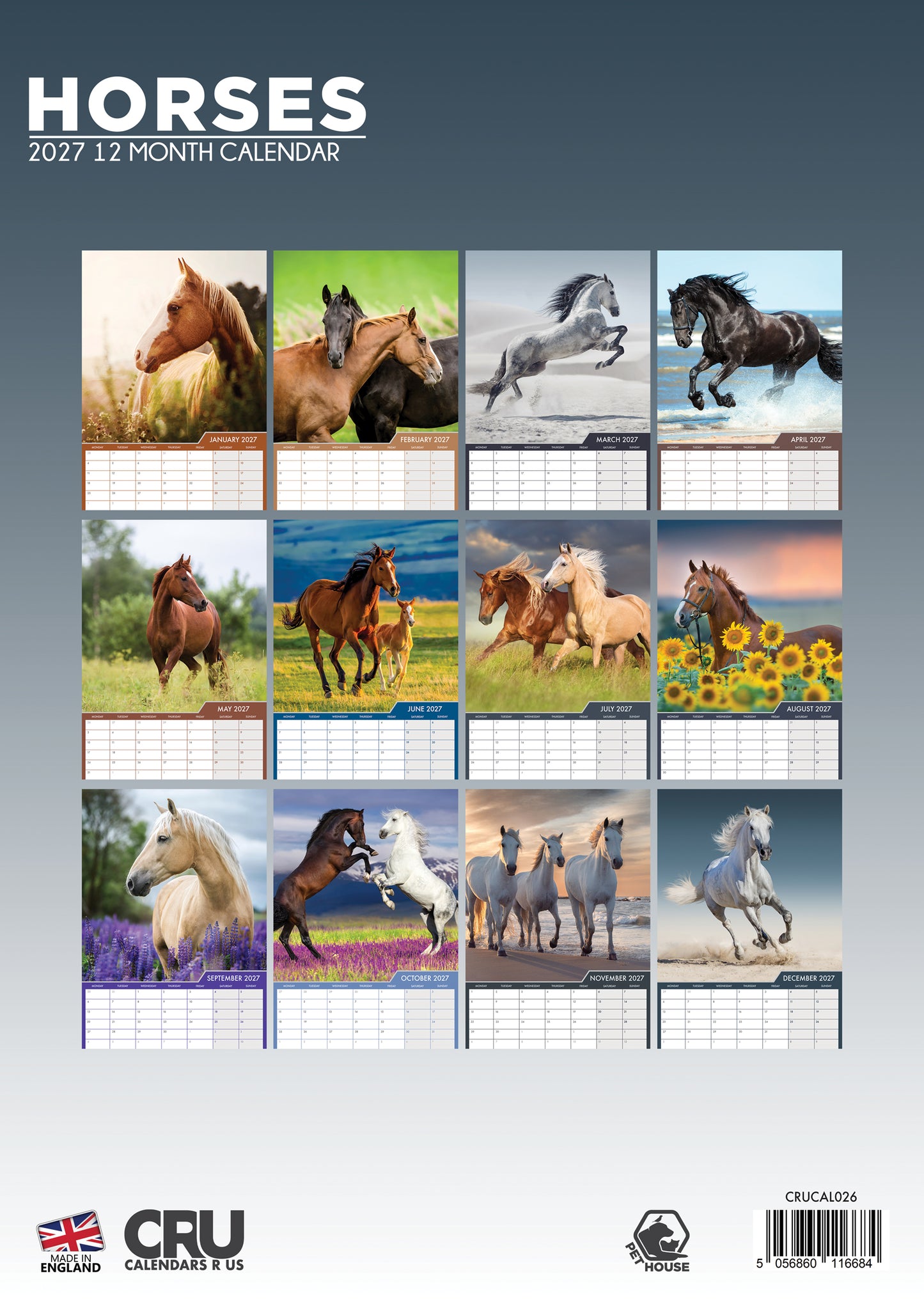 Horses - A3 Calendar 2027