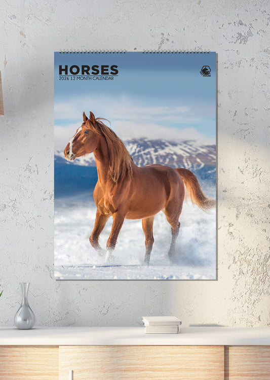 Horses - A3 Calendar 2026
