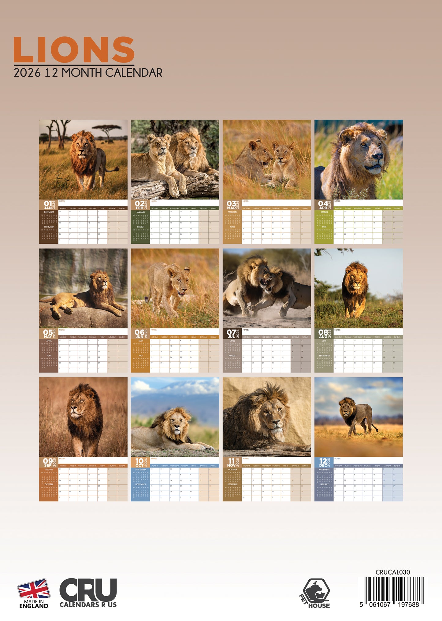 Lions - A3 Calendar 2026