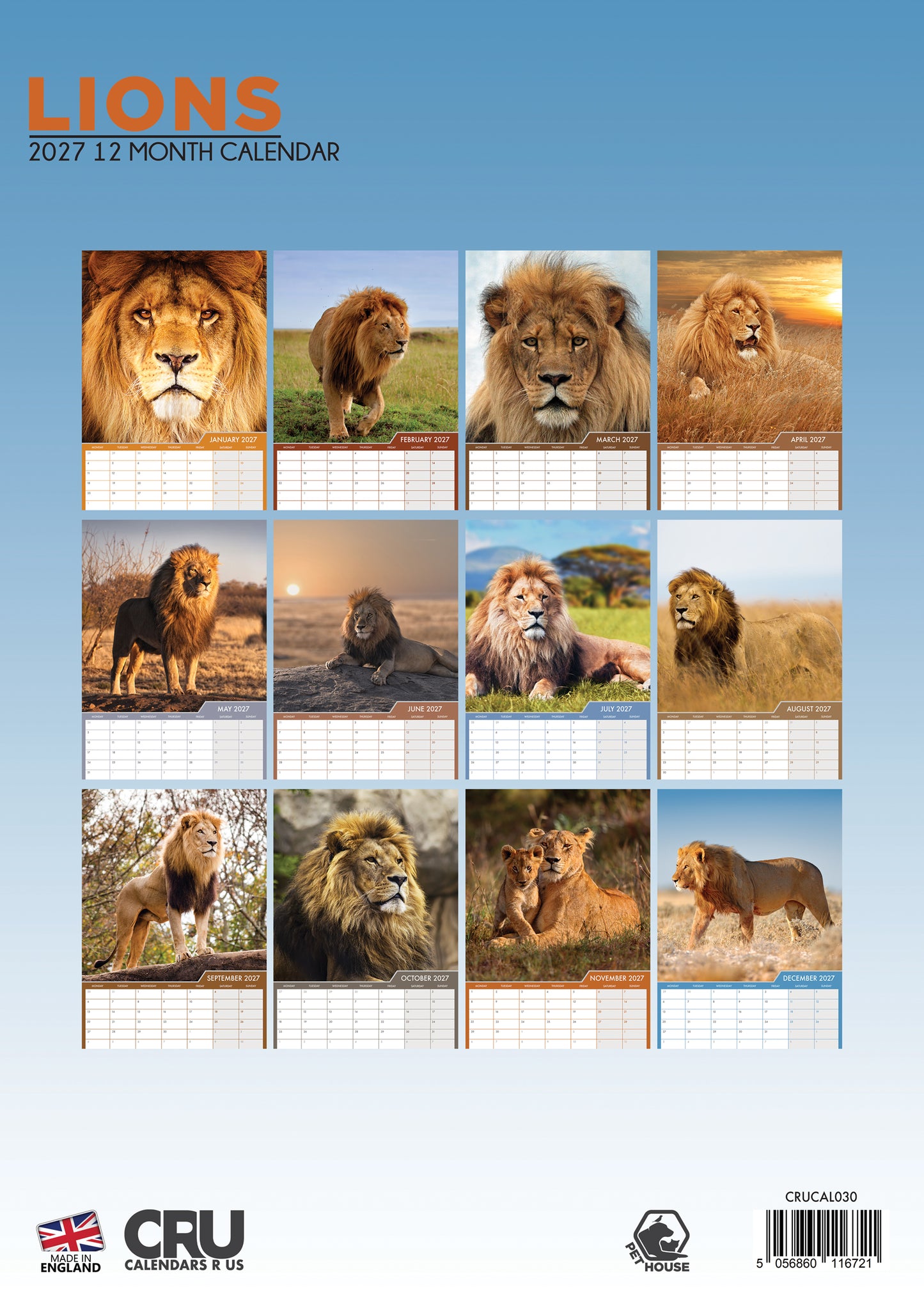 Lions - A3 Calendar 2027