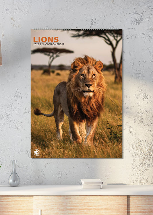 Lions - A3 Calendar 2026