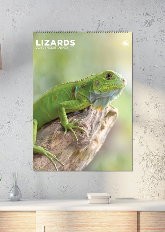 Lizards - A3 Calendar 2026