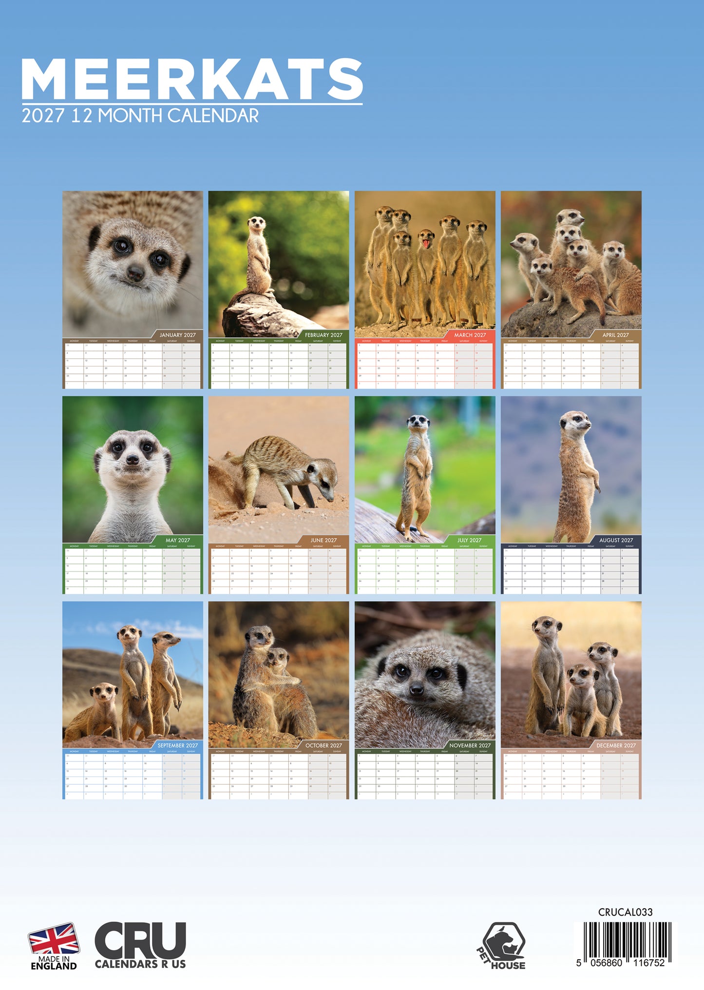 Meerkats - A3 Calendar 2027