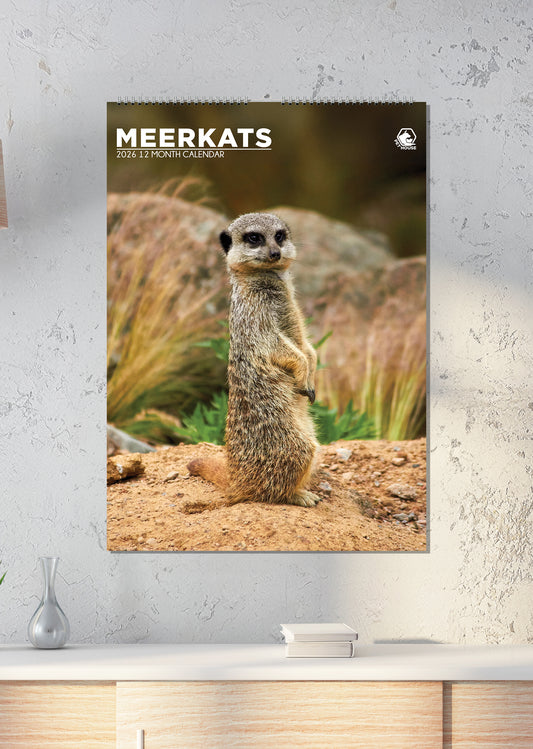 Meerkats - A3 Calendar 2026