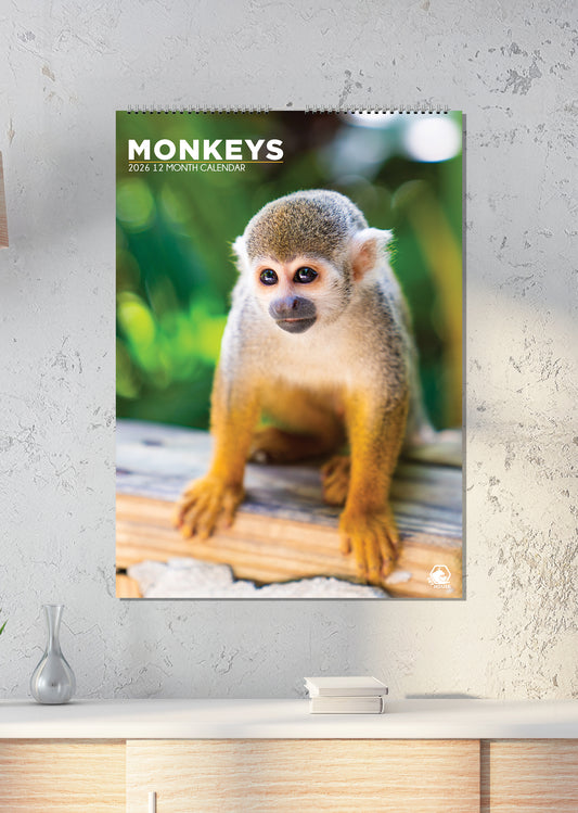 Monkeys - A3 Calendar 2026