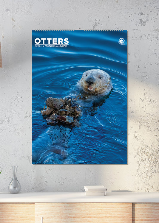 Otters - A3 Calendar 2026