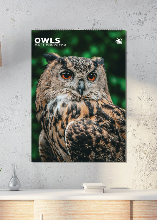 Owls - A3 Calendar 2026