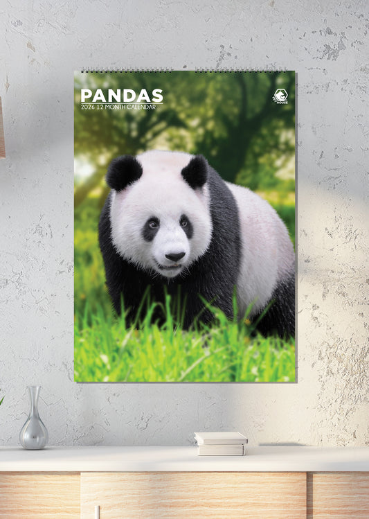 Pandas - A3 Calendar 2026