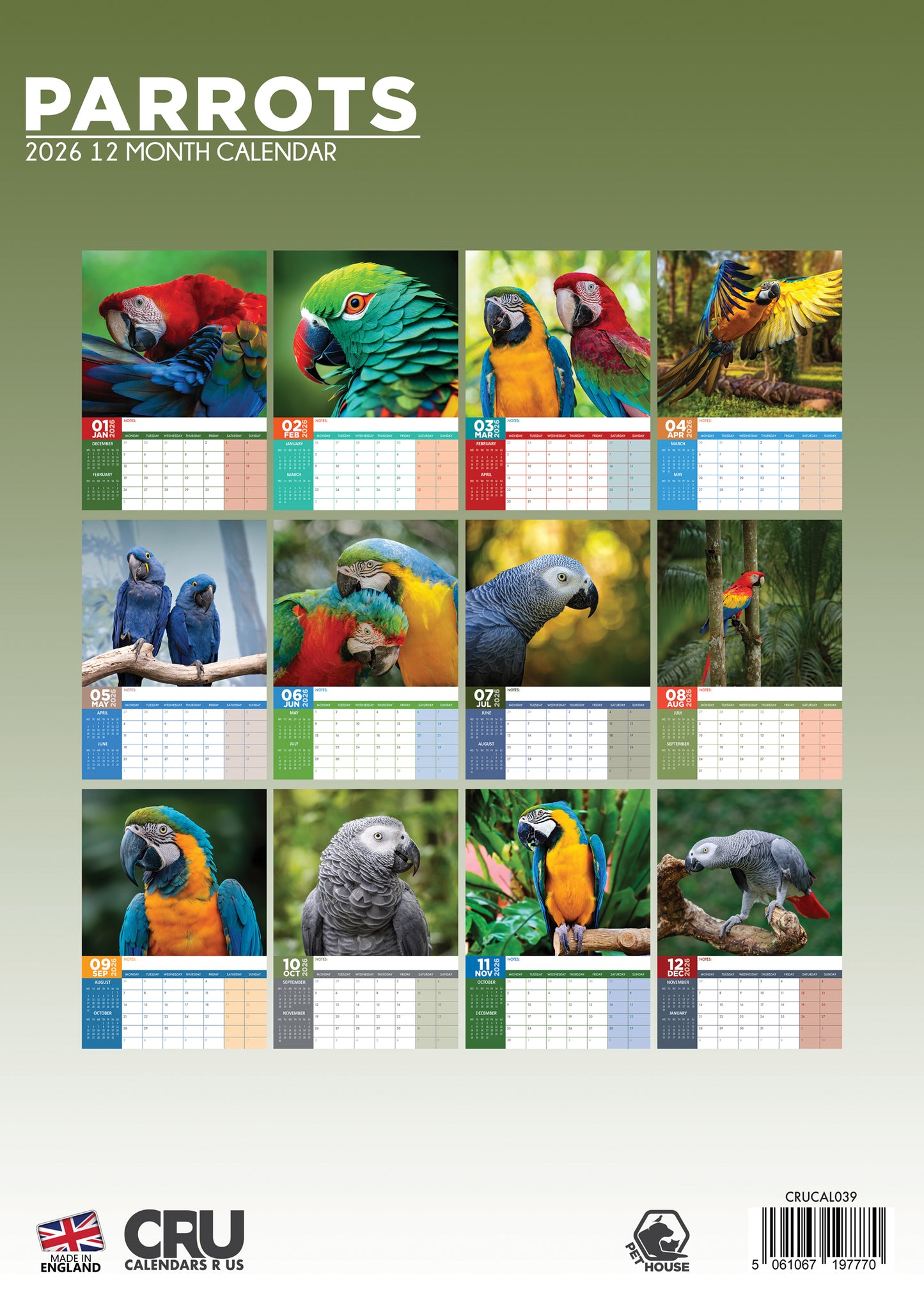 Parrots - Calendar 2026