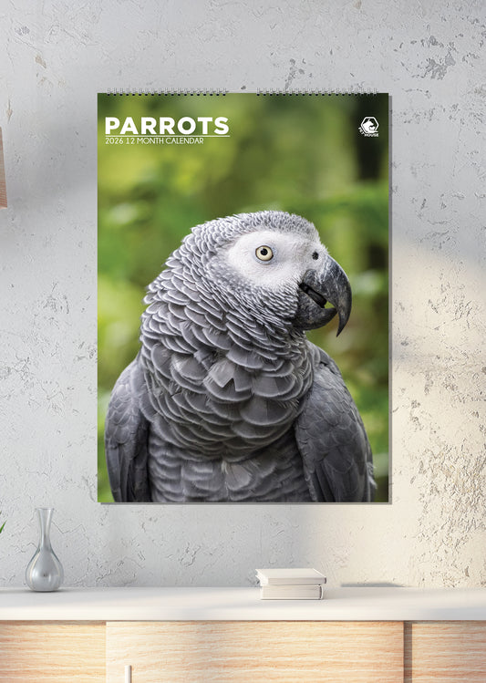 Parrots - Calendar 2026
