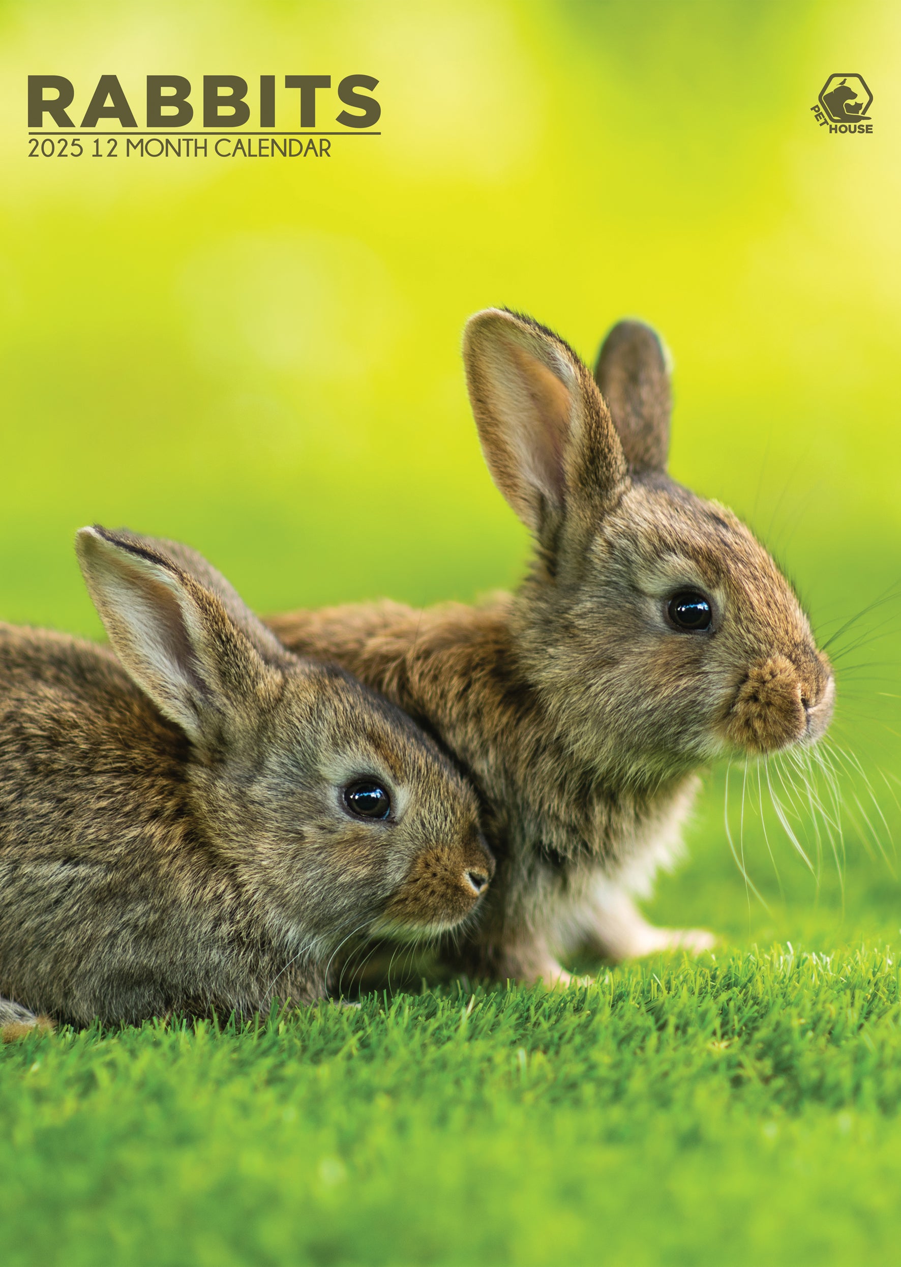 Rabbits Calendar 2025 CalendarsRus