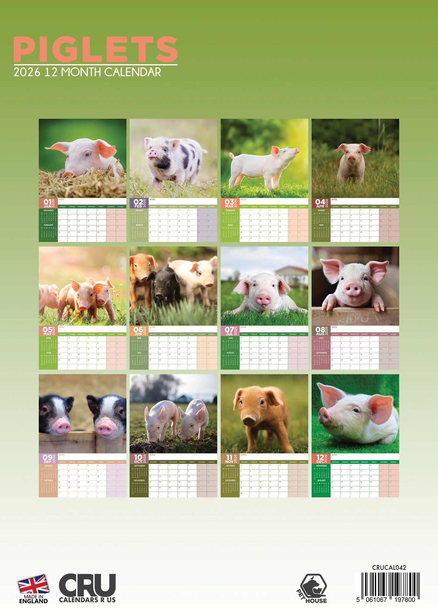 Piglets - A3 Calendar 2026