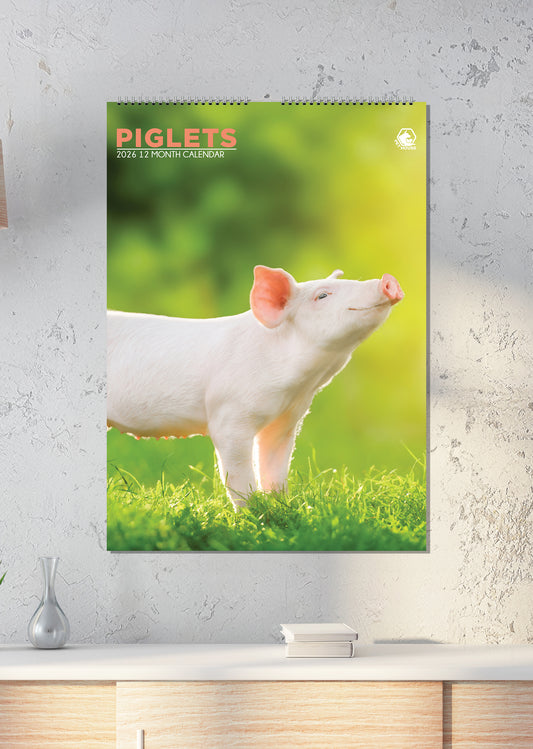Piglets - A3 Calendar 2026