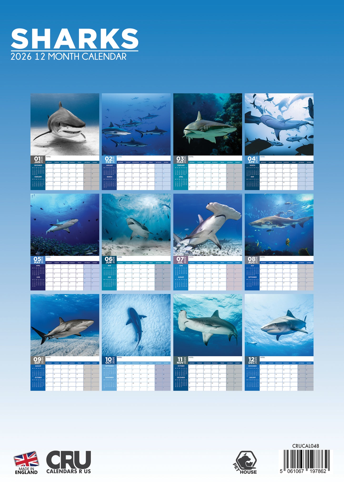 Sharks - A3 Calendar 2026