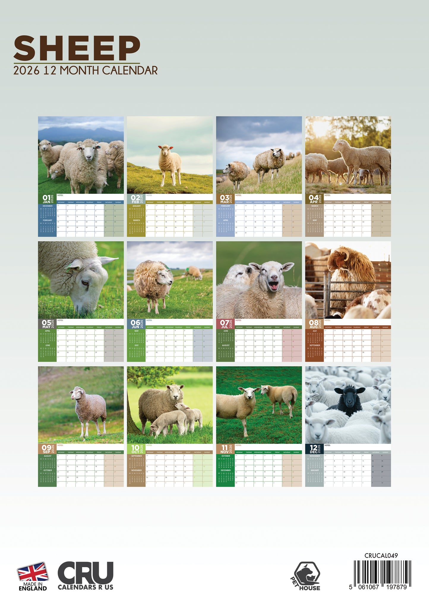 Sheep - A3 Calendar 2026