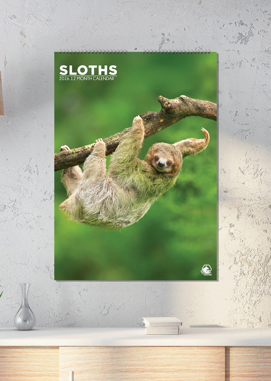 Sloths - A3 Calendar 2026