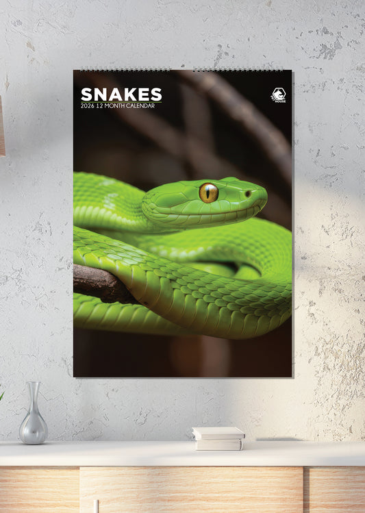 Snakes - A3 Calendar 2026