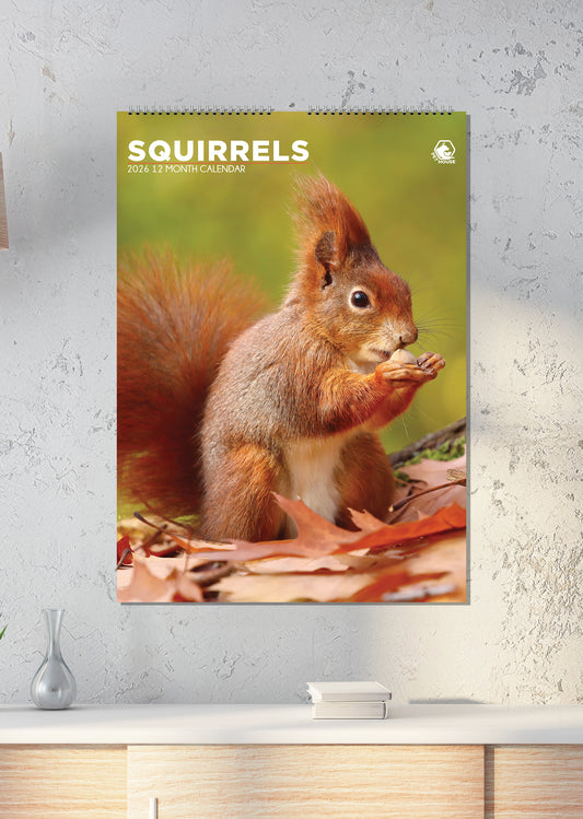 Squirrels - A3 Calendar 2026