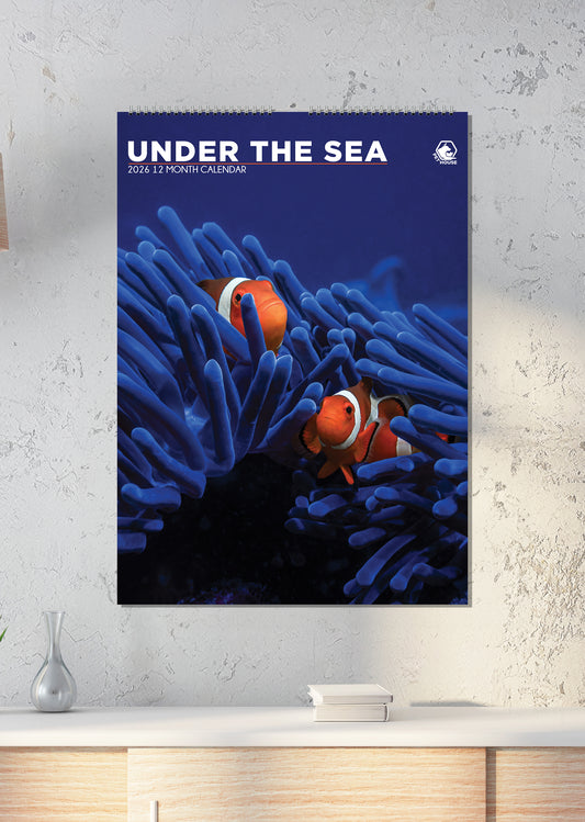 Under The Sea - A3 Calendar 2026