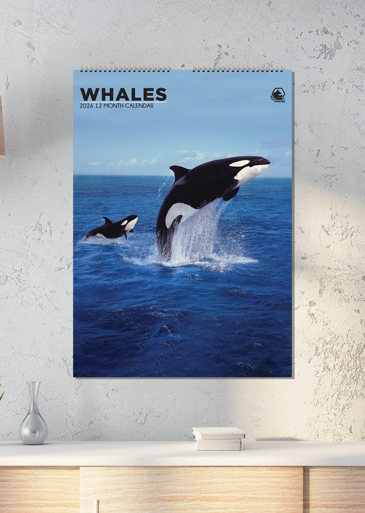 Whales - A3 Calendar 2026