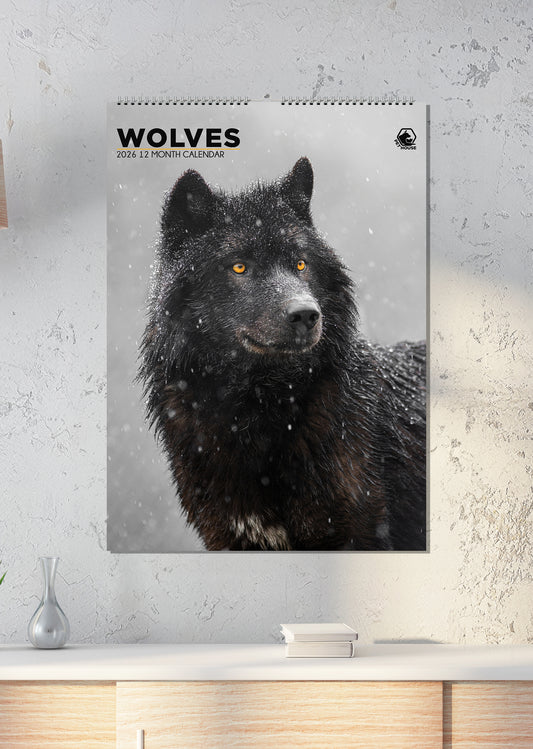 Wolves - A3 Calendar 2026