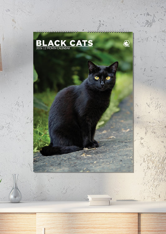 Black Cats - A3 Calendar 2026