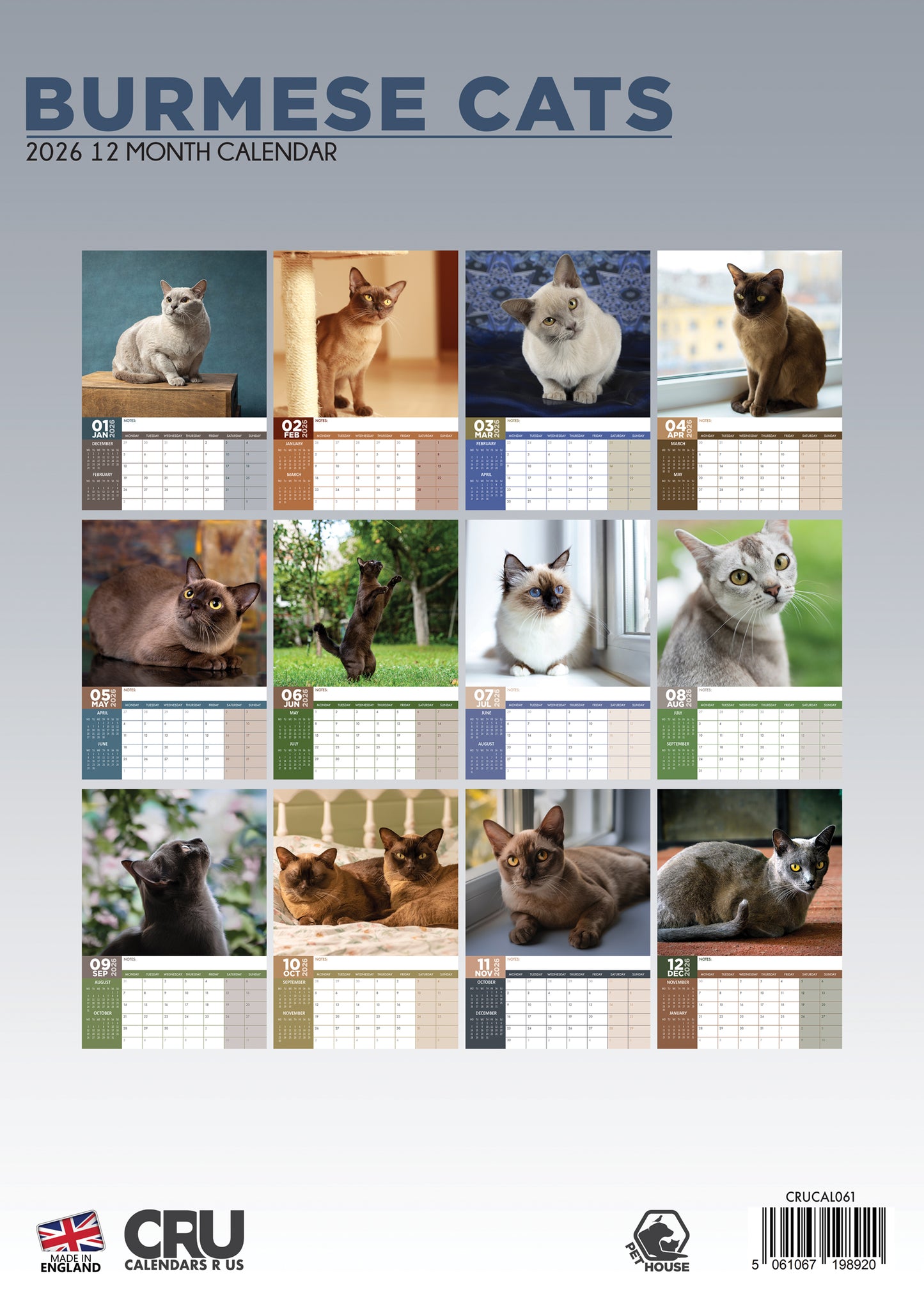 Burmese Cats - A3 Calendar 2026