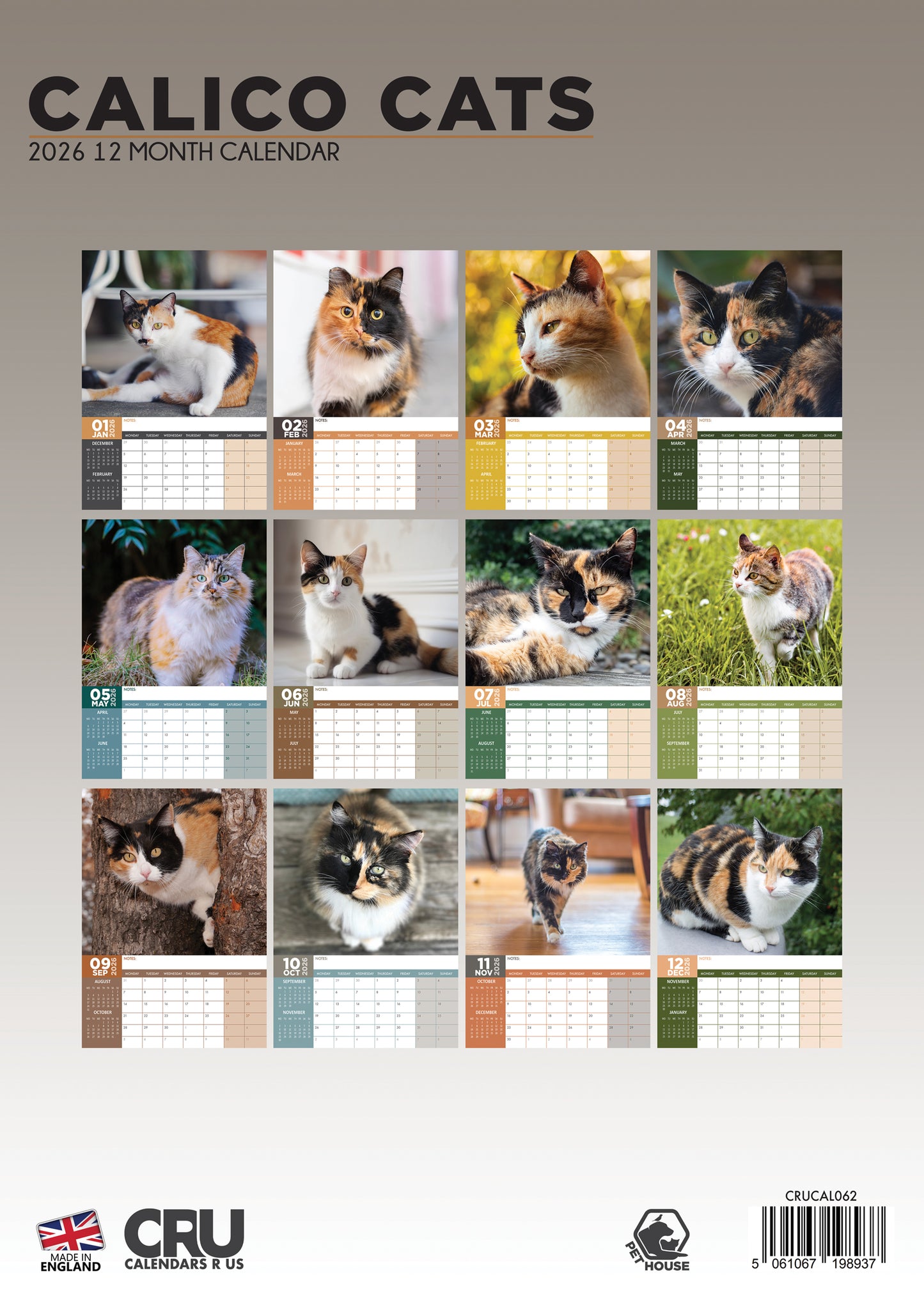 Calico Cats - A3 Calendar 2026