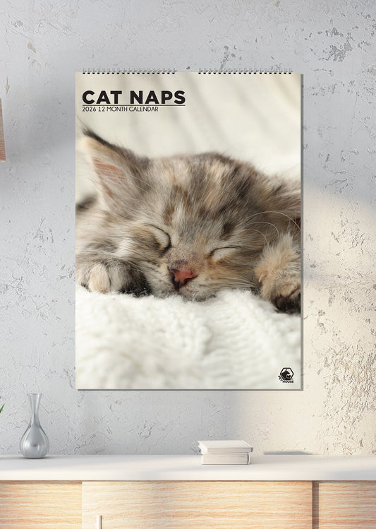 Cat Naps - A3 Calendar 2026