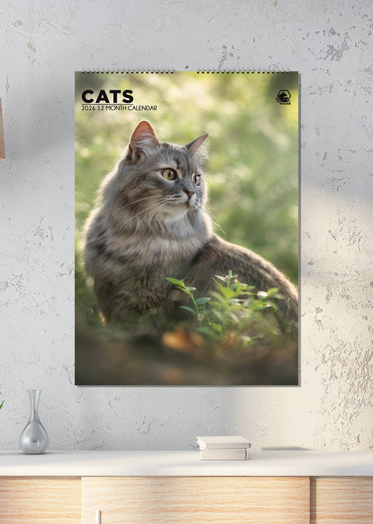 Cats - A3 Calendar 2026