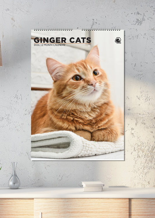 Ginger Cats - A3 Calendar 2026