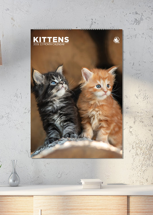 Kittens - A3 Calendar 2026
